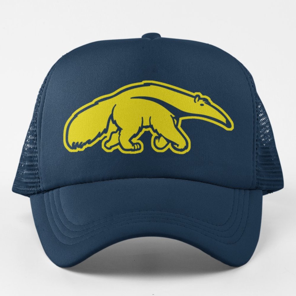 NEW UC Irvine Anteaters Alt Mascot Logo Foam Trucker Mesh Snapback Hat NAVY